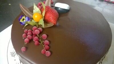 <b>13340056_1722992191274738_1362256374747655311_o</b>