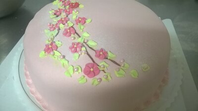 <b>13340106_1722992277941396_4271999480511869038_o</b>